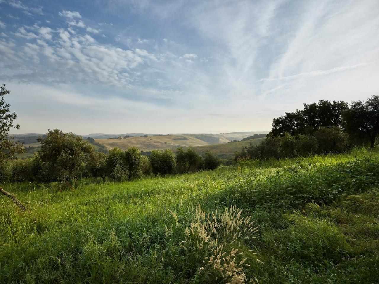 Vila Borgo Lucignanello Bandini San Giovanni dʼAsso Exteriér fotografie