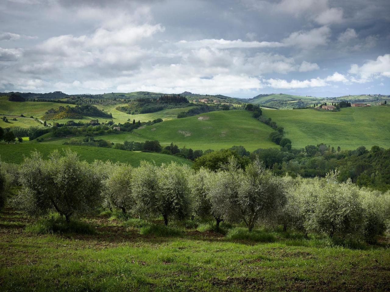 Vila Borgo Lucignanello Bandini San Giovanni dʼAsso Exteriér fotografie